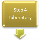 ivf-timeline-4