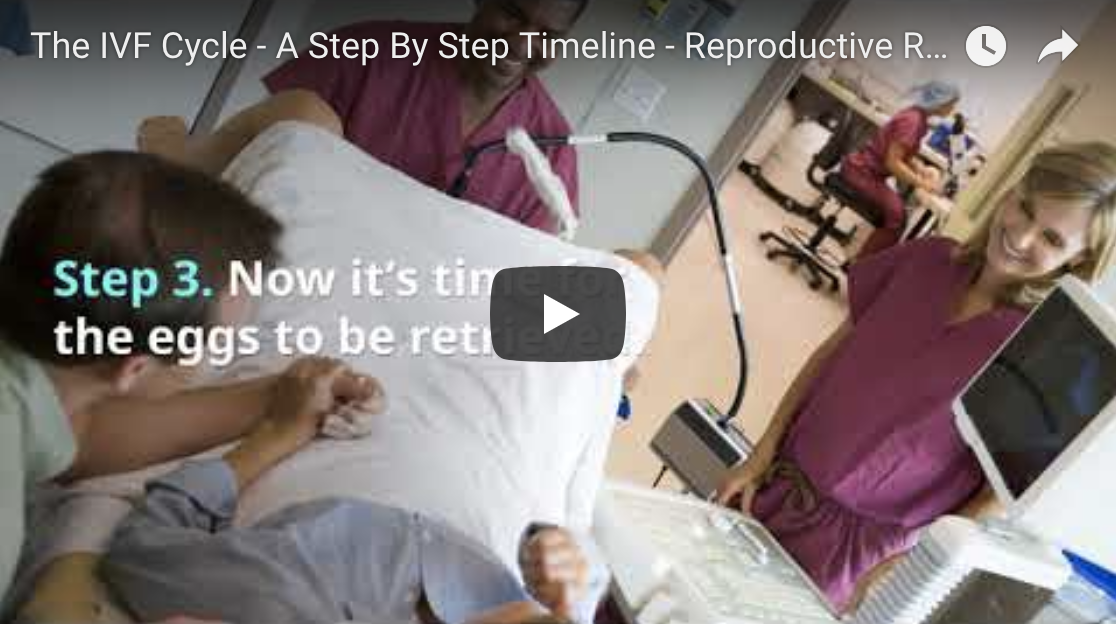 IVF Timeline RRC Video