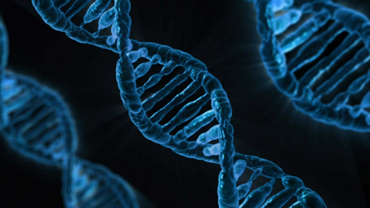 Preimplantation Genetic Testing